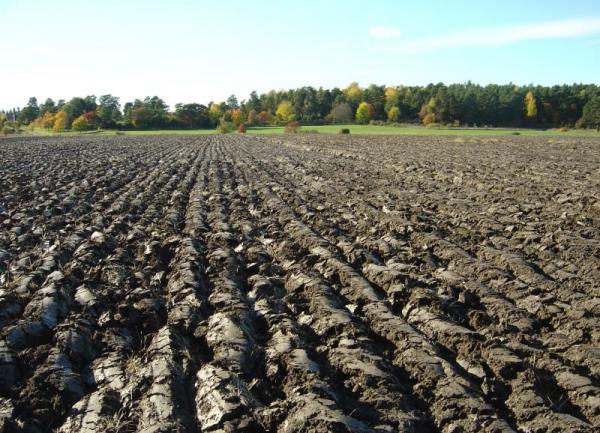 Продам 758 Га в Белореченском районе.